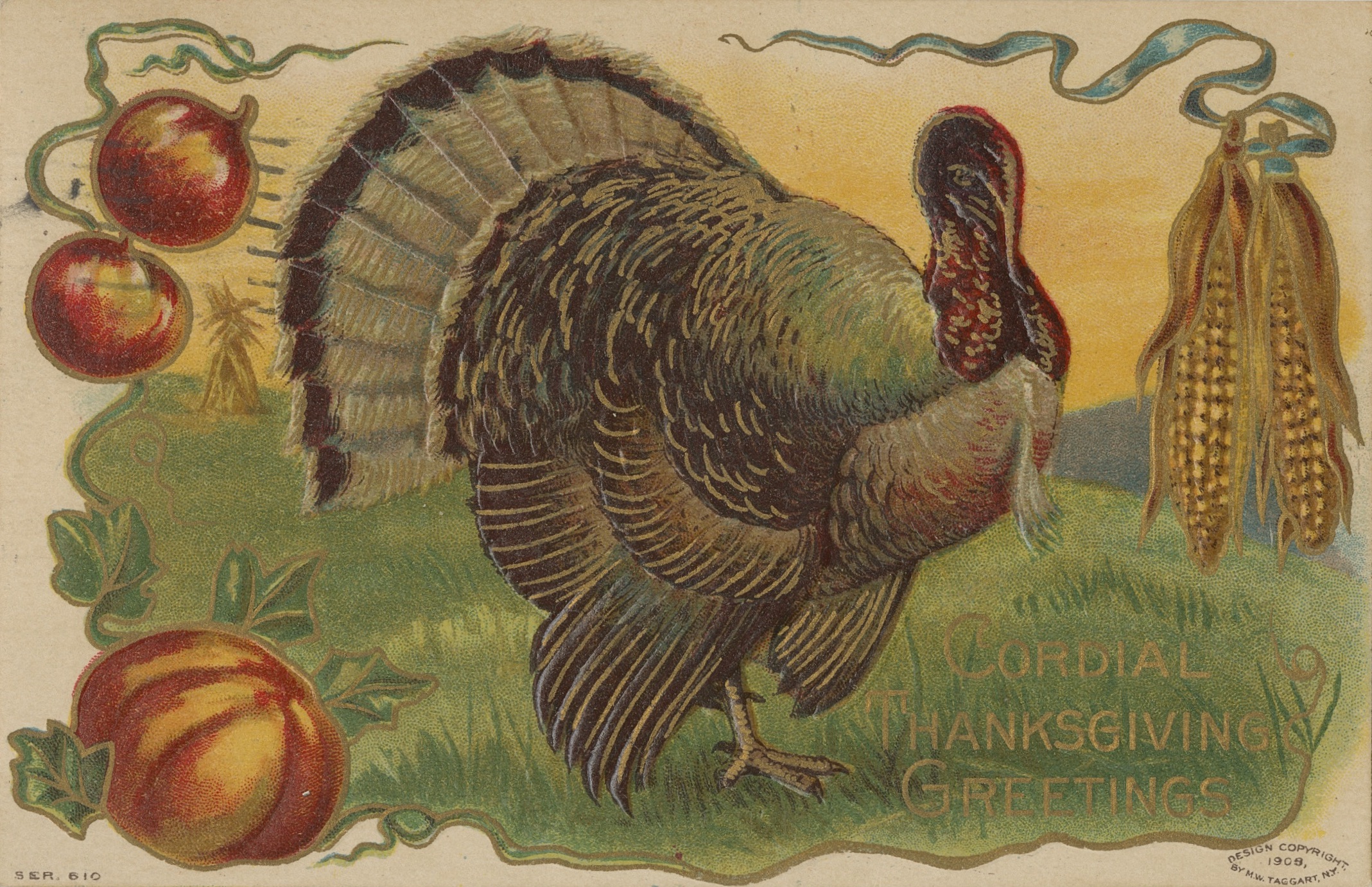 Turkey Postcard Baker Collection
