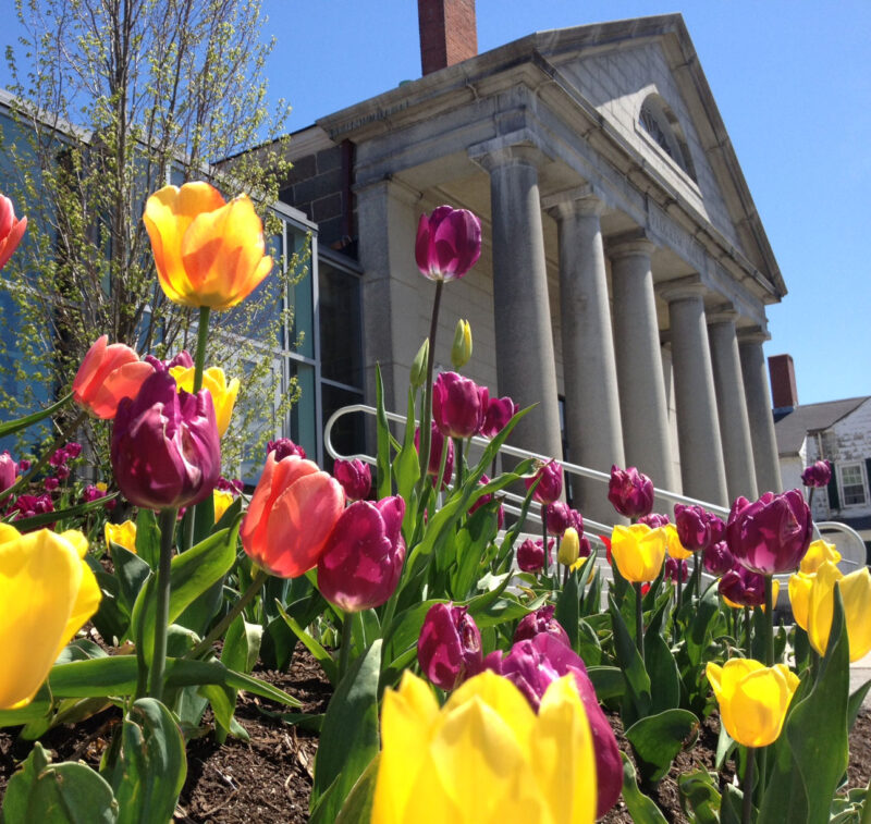 PHM_Exterior_TulipsSquare